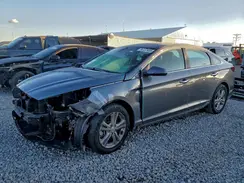 5NPE34AF7KH743493 2019 HYUNDAI SONATA