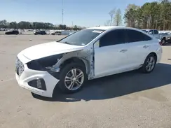 5NPE34AF7KH748273 2019 HYUNDAI SONATA