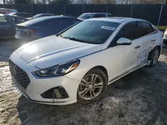 5NPE34AF7KH749701 2019 HYUNDAI SONATA