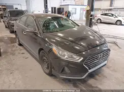 5NPE34AF7KH770368 2019 HYUNDAI SONATA