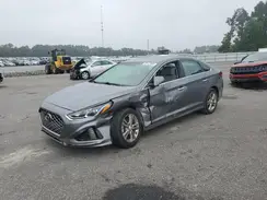 5NPE34AF7KH770662 2019 HYUNDAI SONATA
