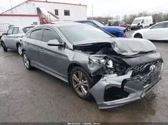 5NPE34AF7KH771004 2019 HYUNDAI SONATA
