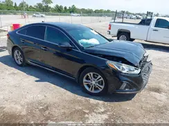 5NPE34AF7KH771343 2019 HYUNDAI SONATA