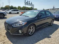 5NPE34AF7KH773920 2019 HYUNDAI SONATA