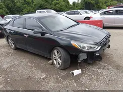 5NPE34AF7KH780382 2019 HYUNDAI SONATA