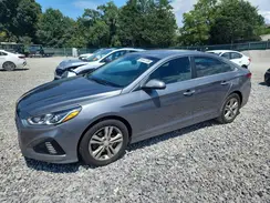 5NPE34AF7KH780608 2019 HYUNDAI SONATA