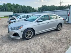5NPE34AF7KH784450 2019 HYUNDAI SONATA