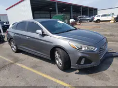 5NPE34AF7KH787252 2019 HYUNDAI SONATA