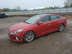 5NPE34AF7KH791396 2019 HYUNDAI SONATA