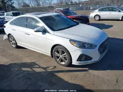 5NPE34AF7KH791494 2019 HYUNDAI SONATA