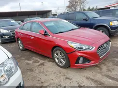 5NPE34AF7KH793374 2019 HYUNDAI SONATA
