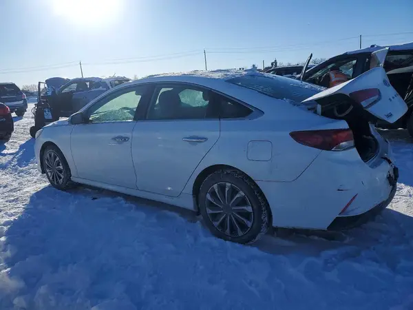 5NPE34AF7KH802414 2019 HYUNDAI SONATA - Image 2