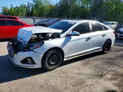 5NPE34AF7KH803921 2019 HYUNDAI SONATA