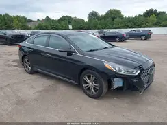 5NPE34AF7KH807757 2019 HYUNDAI SONATA