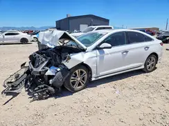 5NPE34AF7KH810836 2019 HYUNDAI SONATA
