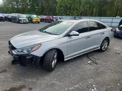 5NPE34AF7KH813509 2019 HYUNDAI SONATA