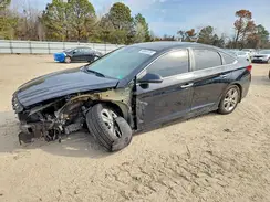 5NPE34AF7KH815079 2019 HYUNDAI SONATA