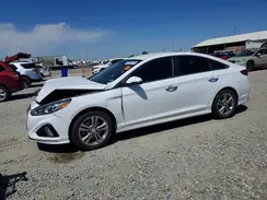 5NPE34AF7KH816586 2019 HYUNDAI SONATA