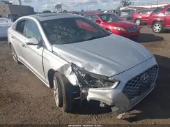 5NPE34AF7KH817298 2019 HYUNDAI SONATA