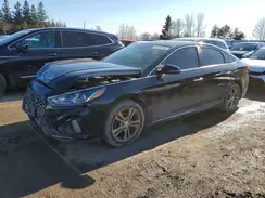 5NPE34AF7KH818516 2019 HYUNDAI SONATA