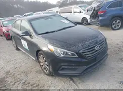 5NPE34AF8GH262837 2016 HYUNDAI SONATA