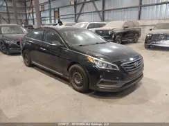 5NPE34AF8GH266192 2016 HYUNDAI SONATA