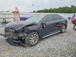 5NPE34AF8GH281002 2016 HYUNDAI SONATA