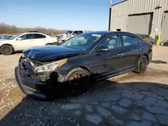 5NPE34AF8GH319036 2016 HYUNDAI SONATA