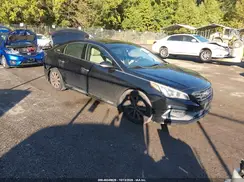 5NPE34AF8GH327542 2016 HYUNDAI SONATA