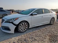 5NPE34AF8GH331137 2016 HYUNDAI SONATA