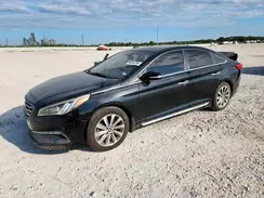 5NPE34AF8GH337830 2016 HYUNDAI SONATA