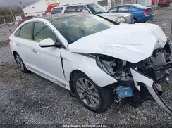 5NPE34AF8GH341831 2016 HYUNDAI SONATA
