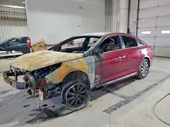 5NPE34AF8GH342526 2016 HYUNDAI SONATA