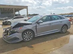 5NPE34AF8GH352439 2016 HYUNDAI SONATA