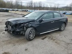 5NPE34AF8GH372349 2016 HYUNDAI SONATA