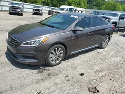 5NPE34AF8GH380662 2016 HYUNDAI SONATA