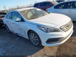 5NPE34AF8GH391905 2016 HYUNDAI SONATA