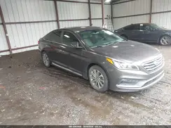 5NPE34AF8GH393301 2016 HYUNDAI SONATA