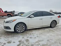 5NPE34AF8GH415023 2016 HYUNDAI SONATA