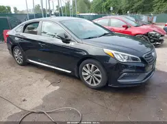 5NPE34AF8GH423591 2016 HYUNDAI SONATA
