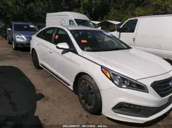 5NPE34AF8HH445561 2017 HYUNDAI SONATA