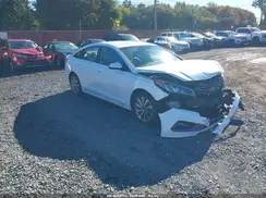 5NPE34AF8HH450212 2017 HYUNDAI SONATA