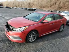 5NPE34AF8HH499572 2017 HYUNDAI SONATA