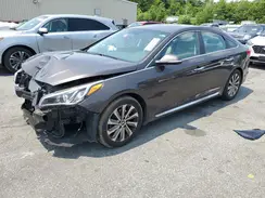 5NPE34AF8HH502700 2017 HYUNDAI SONATA