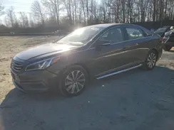 5NPE34AF8HH510344 2017 HYUNDAI SONATA