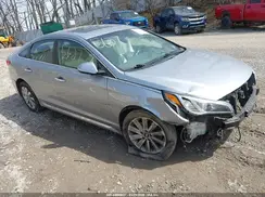 5NPE34AF8HH524163 2017 HYUNDAI SONATA