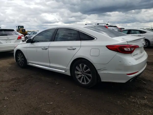 5NPE34AF8HH554876 2017 HYUNDAI SONATA - Image 2