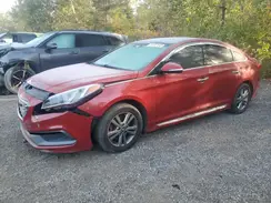 5NPE34AF8HH564100 2017 HYUNDAI SONATA