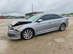 5NPE34AF8HH582841 2017 HYUNDAI SONATA