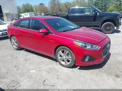 5NPE34AF8KH733278 2019 HYUNDAI SONATA